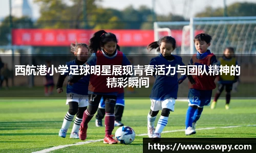 8868体育官方网站